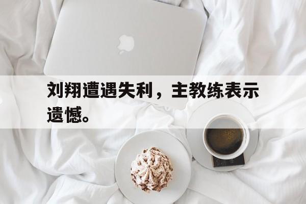 IM电竞体育平台-刘翔遭遇失利，主教练表示遗憾。