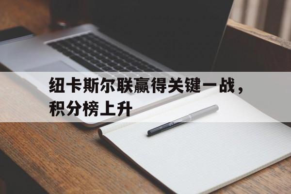 IM电竞体育平台-纽卡斯尔联赢得关键一战，积分榜上升