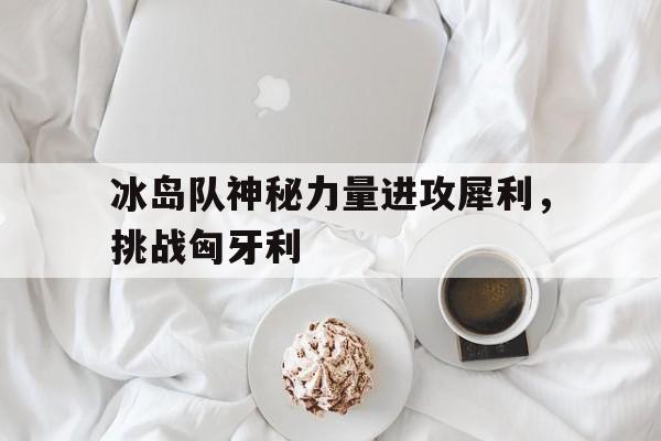 IM电竞app下载入口-冰岛队神秘力量进攻犀利，挑战匈牙利